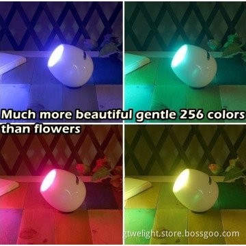 2014 Novelty Touch 256 Color Changing Mood Light